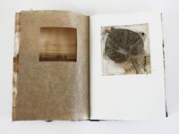 lotta helleberg Nature Inspired Artist Book